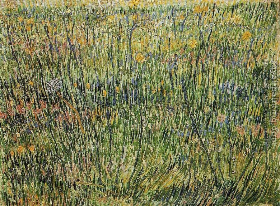 Vincent Van Gogh : Pasture in Bloom II